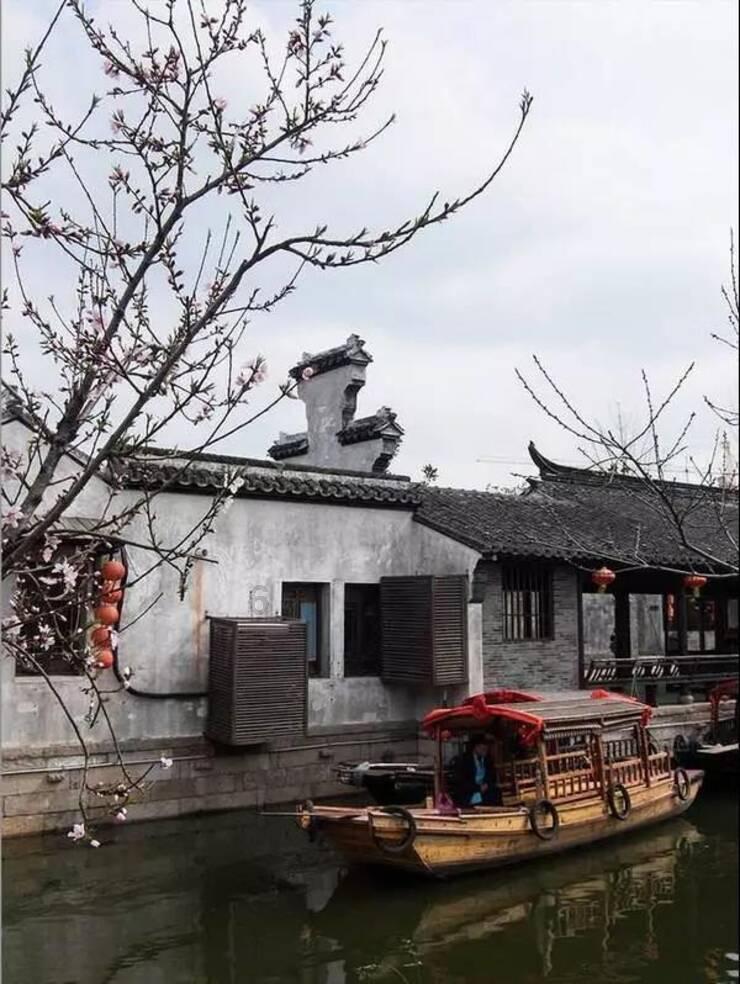 奇妙香蕉之旅